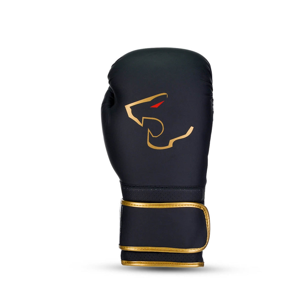 Alpha Boxing Gloves - Black Edition-1